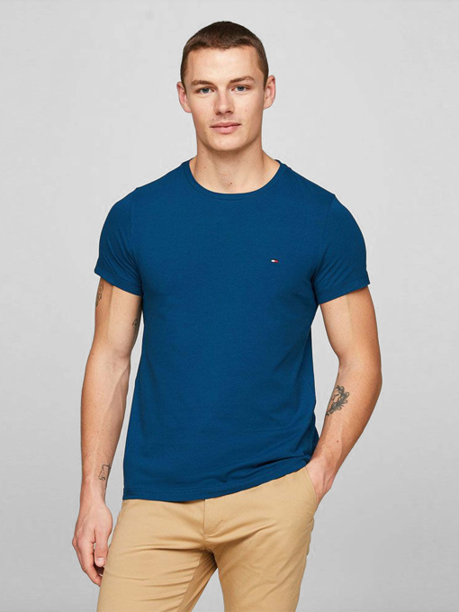 Футболки и поло Tommy Hilfiger модель MW0MW10800-C5J Фото