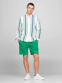 Шорти Tommy Hilfiger модель MW0MW34201-L4B Фото
