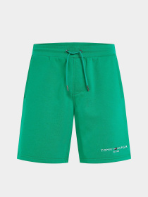 Шорти Tommy Hilfiger модель MW0MW34201-L4B Фото