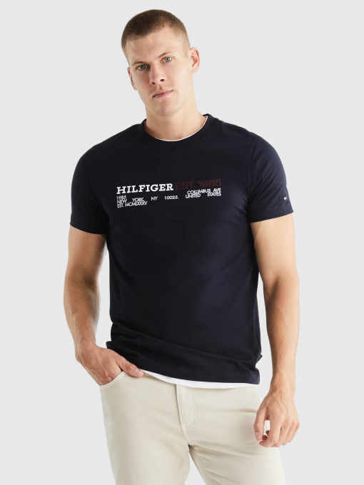 Футболки и поло Tommy Hilfiger модель MW0MW34435-DW5 Фото