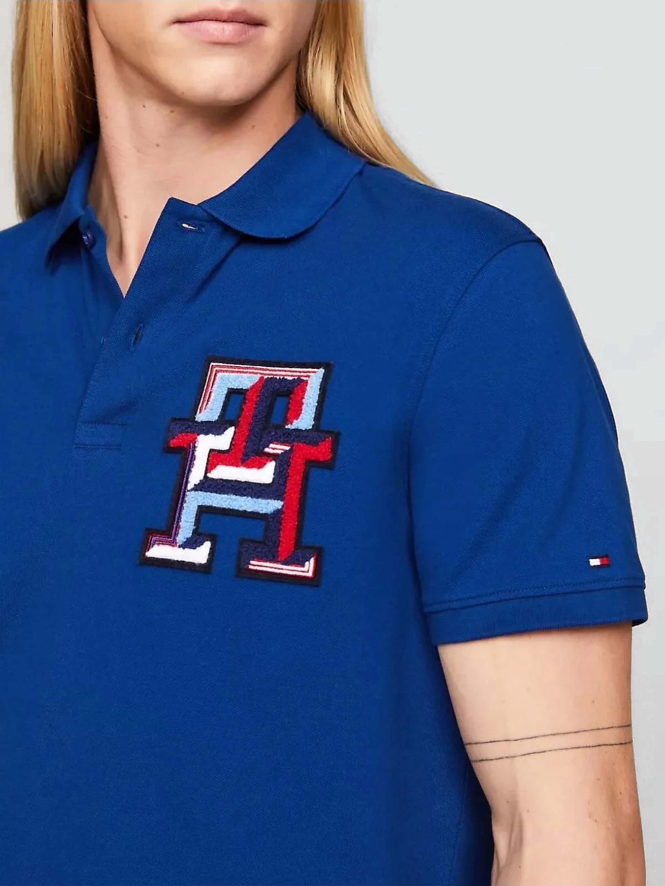 Футболки і поло Tommy Hilfiger модель MW0MW34842-C5J Футболки і поло Tommy Hilfiger модель MW0MW34842-C5J Фото