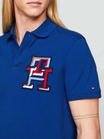 Футболки і поло Tommy Hilfiger модель MW0MW34842-C5J Фото
