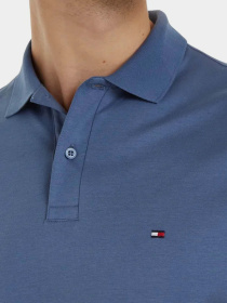 Футболки і поло Tommy Hilfiger модель MW0MW35585-C9T Фото