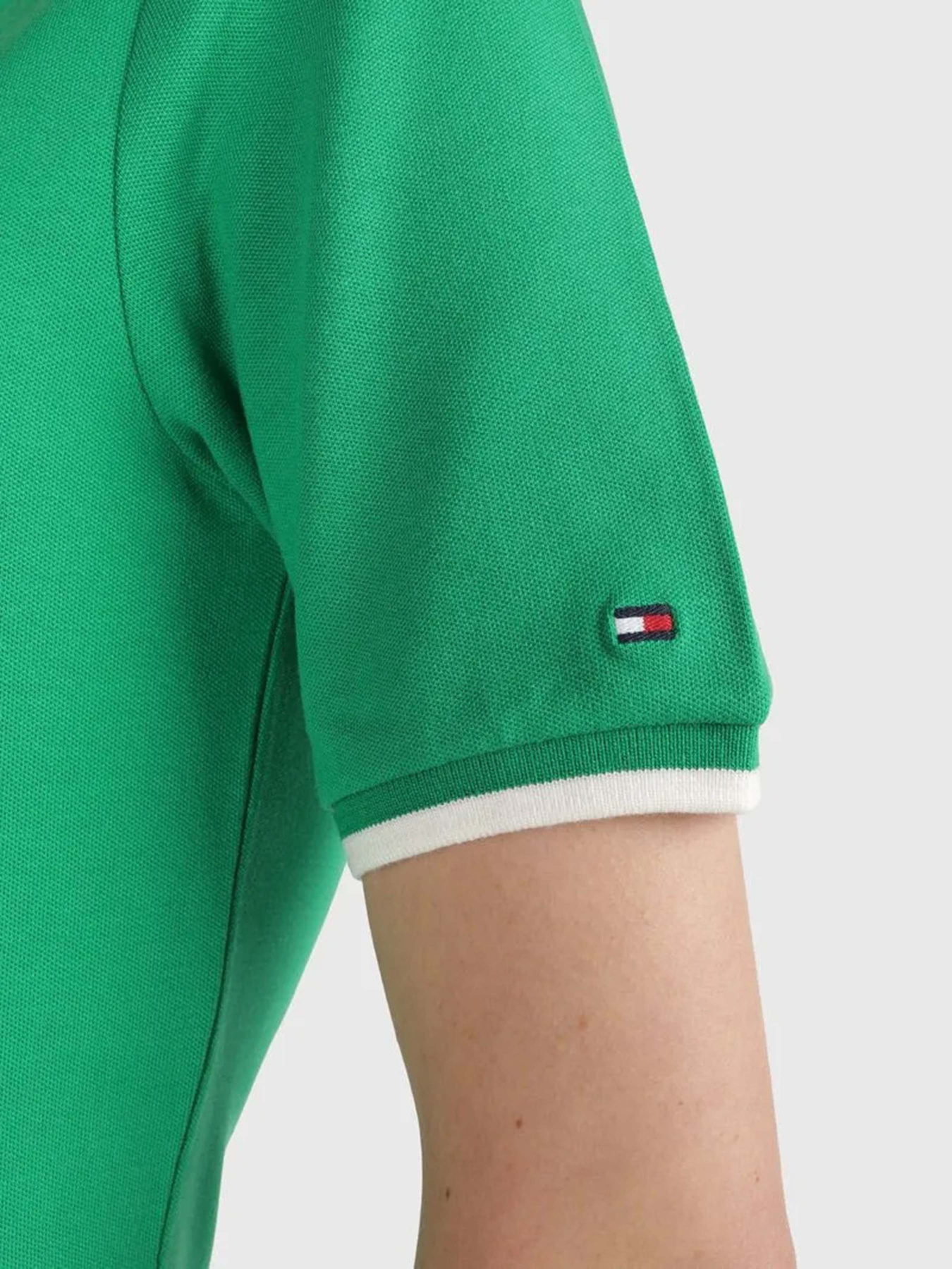 Футболки і поло Tommy Hilfiger модель WW0WW41288-L4B Фото