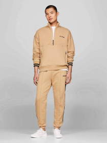 Худи и свитшоты Tommy Hilfiger модель MW0MW34404-RBL Фото