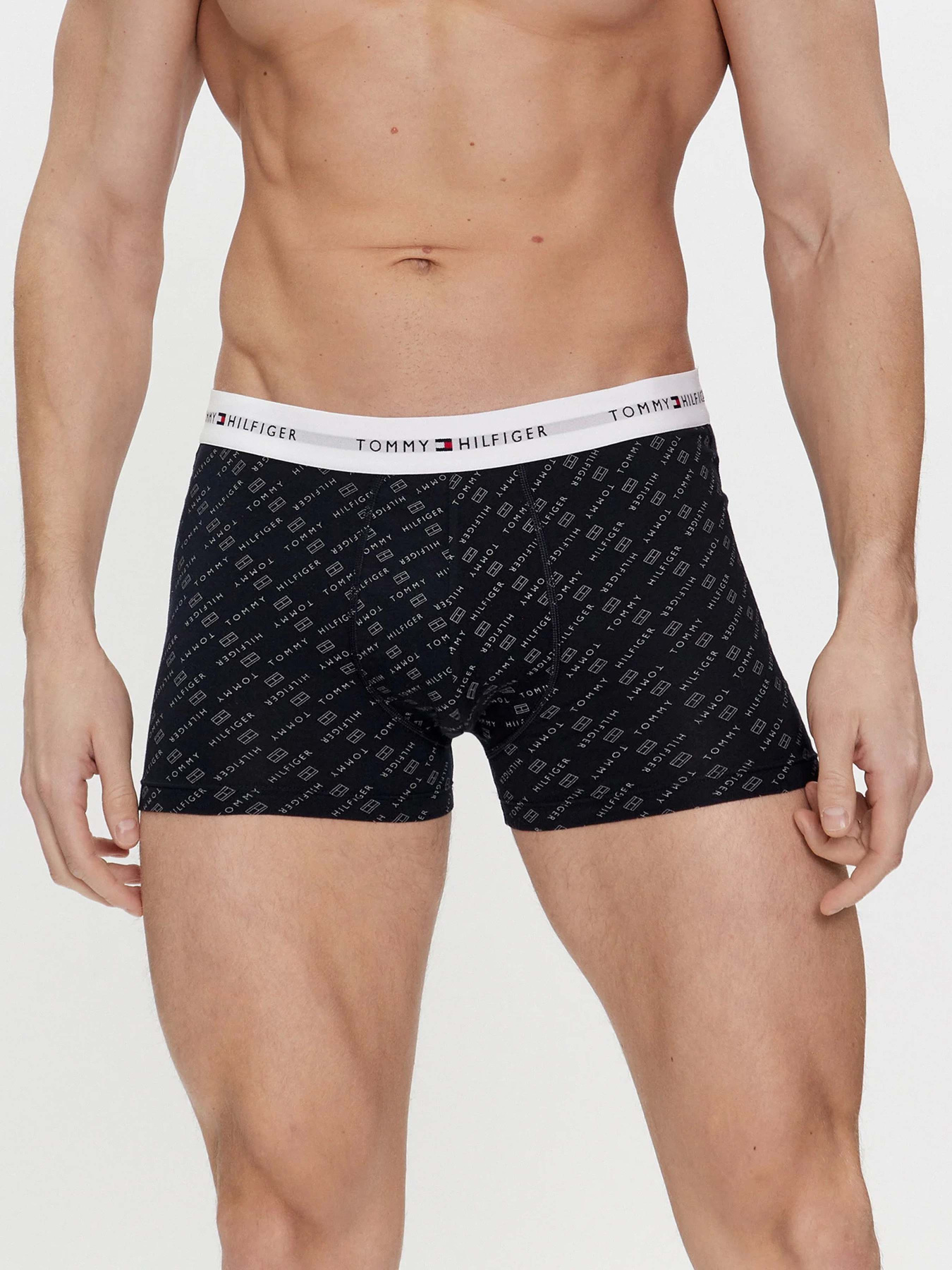 Нижня білизна Tommy Hilfiger модель UM0UM02768-0Y1 Нижня білизна Tommy Hilfiger модель UM0UM02768-0Y1 Фото