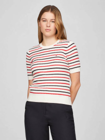Футболки і поло Tommy Hilfiger модель WW0WW41787-04S Фото