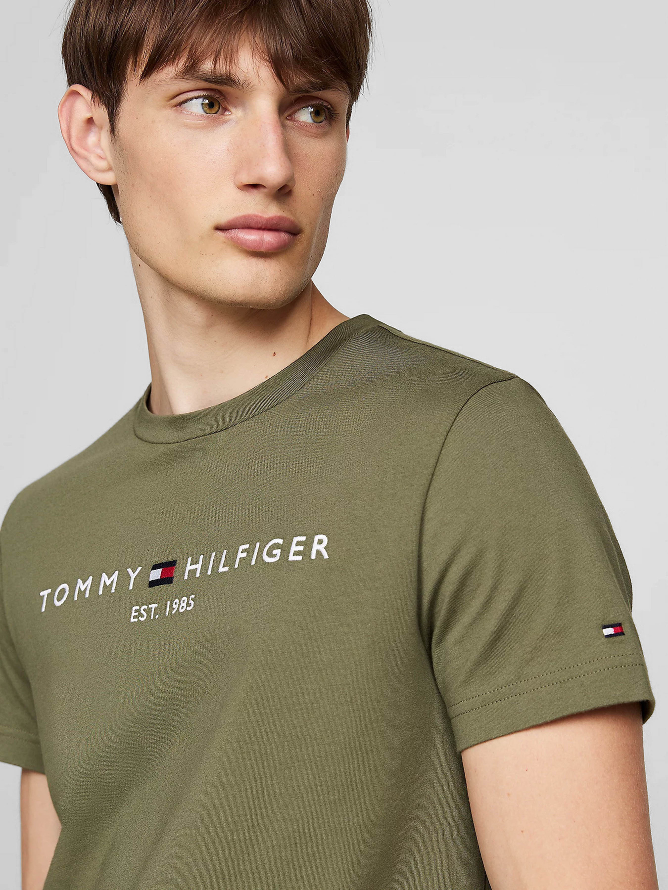 Футболки и поло Tommy Hilfiger модель MW0MW11797-PLI Футболки и поло Tommy Hilfiger модель MW0MW11797-PLI Фото