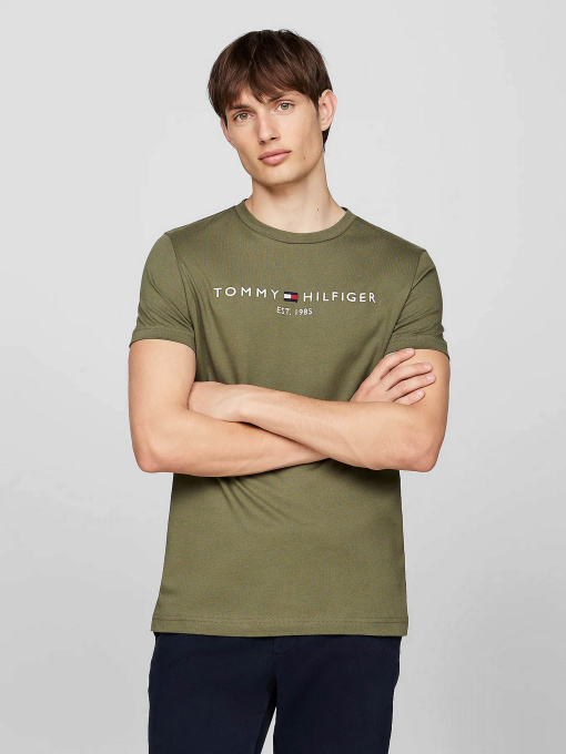 Футболки и поло Tommy Hilfiger модель MW0MW11797-PLI Фото