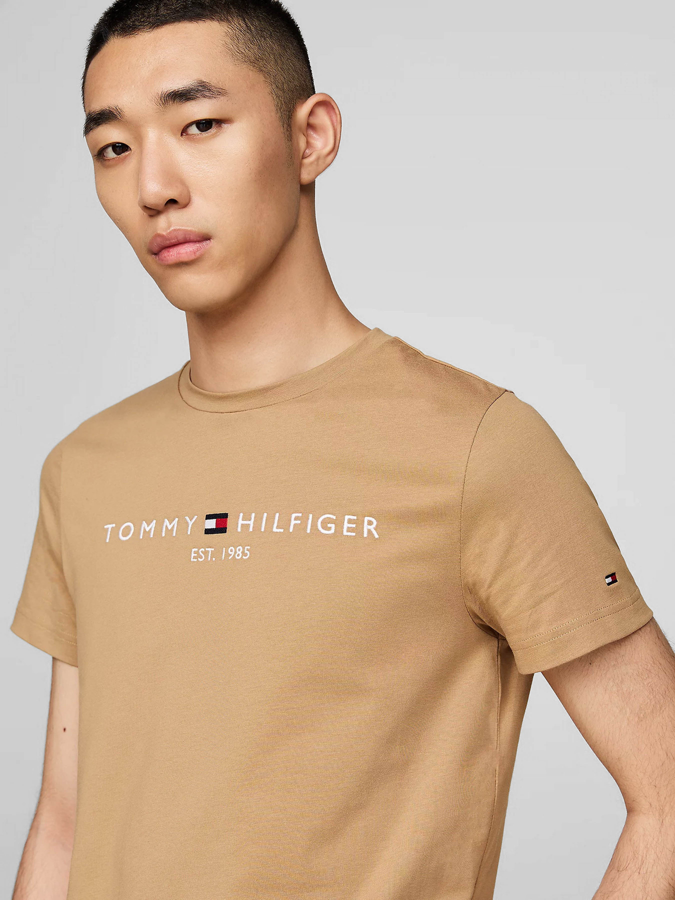 Футболки і поло Tommy Hilfiger модель MW0MW11797-RBC Футболки і поло Tommy Hilfiger модель MW0MW11797-RBC Фото