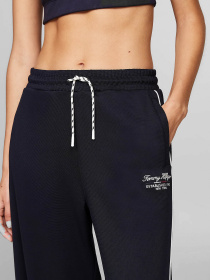 Штани Tommy Hilfiger модель WW0WW42921-DW5 Фото