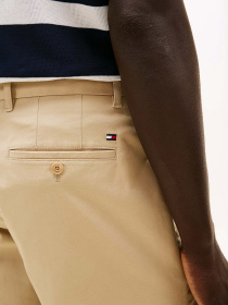 Шорты Tommy Hilfiger модель MW0MW23563-RBT Фото