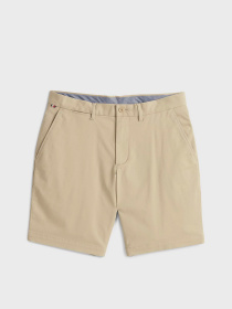 Шорты Tommy Hilfiger модель MW0MW23563-RBT Фото
