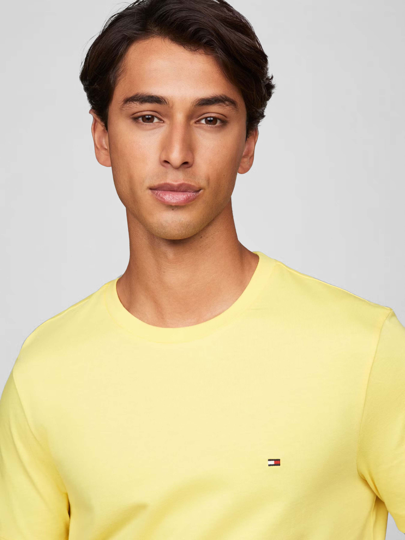 Футболки і поло Tommy Hilfiger модель MW0MW39995-ZF0 Футболки і поло Tommy Hilfiger модель MW0MW39995-ZF0 Фото