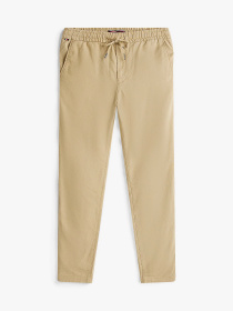 Штани Tommy Hilfiger модель MW0MW38801-RBT Фото