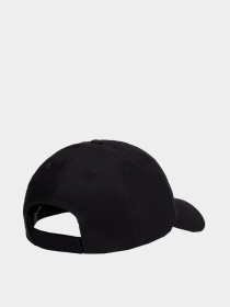 Шапки и кепки Tommy Hilfiger TJW LINEAR LOGO 6 PANEL CAP модель AW0AW16868-BDS Фото