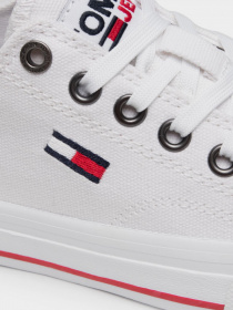 Кеди Tommy Hilfiger модель EN0EN01351-YBR Фото