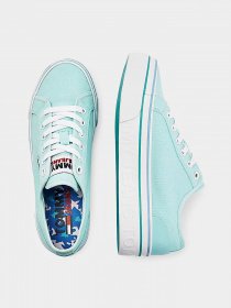 Кеды Tommy Hilfiger Flatform Vulc модель EN0EN01423-CSW Фото