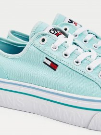 Кеды Tommy Hilfiger Flatform Vulc модель EN0EN01423-CSW Фото