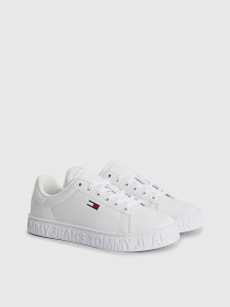 Кеды Tommy Hilfiger модель EN0EN02042-YBR Фото