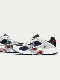 Кросівки Tommy Hilfiger модель EM0EM00666-C87 Фото