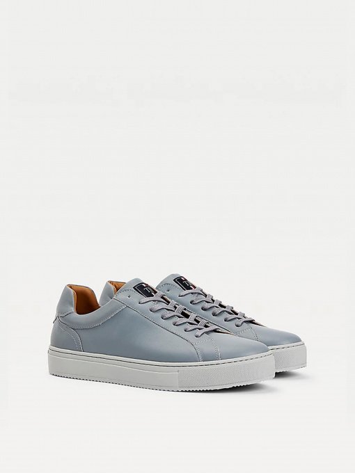 Кеды Tommy Hilfiger модель FM0FM02658-PSU Фото