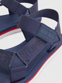 Сандалии Tommy Hilfiger модель EM0EM00976-0GY Фото
