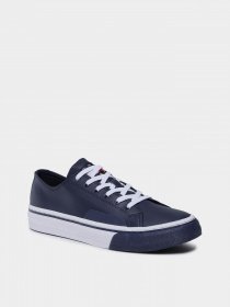 Кеди Tommy Hilfiger модель EM0EM01047-C87 Фото