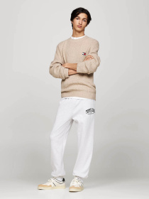 Кеди Tommy Hilfiger модель EM0EM01462-YBI Фото