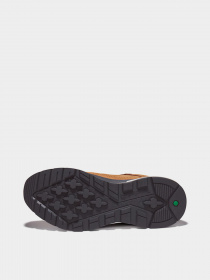 Кросівки Timberland Field Trekker модель TB0A2A15231 Фото