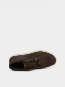 Ботинки и сапоги Timberland Ashwood Park модель TB0A23U9242 Фото