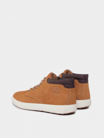 Ботинки и сапоги Timberland Ashwood Park модель TB0A1Z3K231 Фото