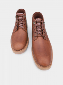 Ботинки и сапоги Timberland Elmhurst модель TB0A29E3203 Фото