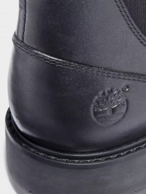 Черевики та чоботи Timberland STORMBUCKS модель TB05551R001 Фото