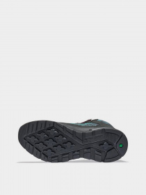 Ботинки и сапоги Timberland Field Trekker Nl Sky модель TB0A2H69015 Фото
