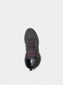 Ботинки и сапоги Timberland Field Trekker Nl Sky модель TB0A2H69015 Фото