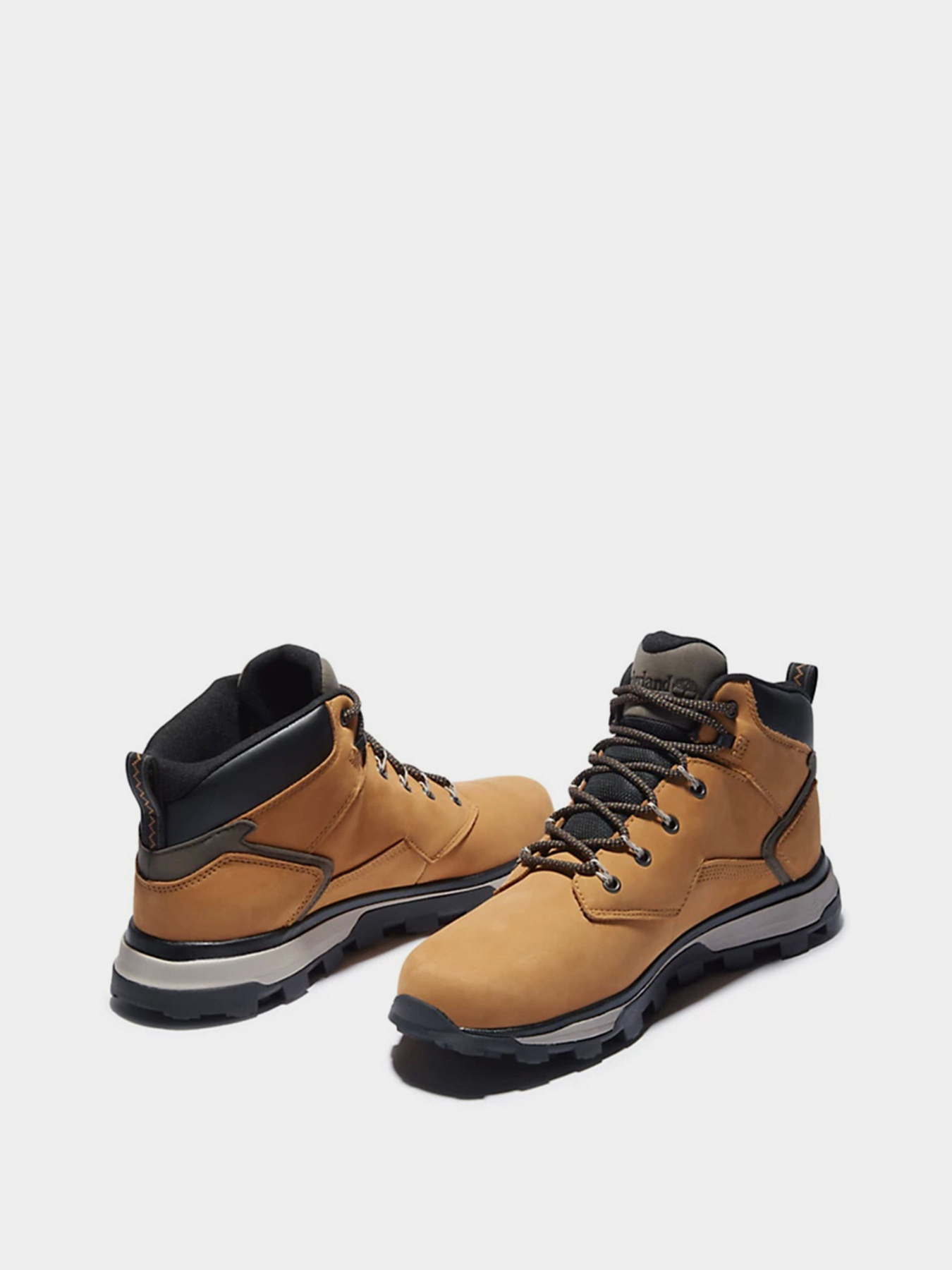 Ботинки и сапоги Timberland Treeline Hiker модель TB0A2FNA231 Фото