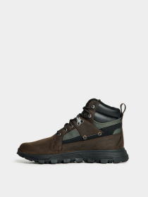 Черевики та чоботи Timberland Treeline Waterproof Hiking модель TB0A2ECH931 Фото