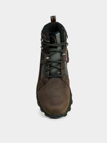 Черевики та чоботи Timberland Treeline Waterproof Hiking модель TB0A2ECH931 Фото
