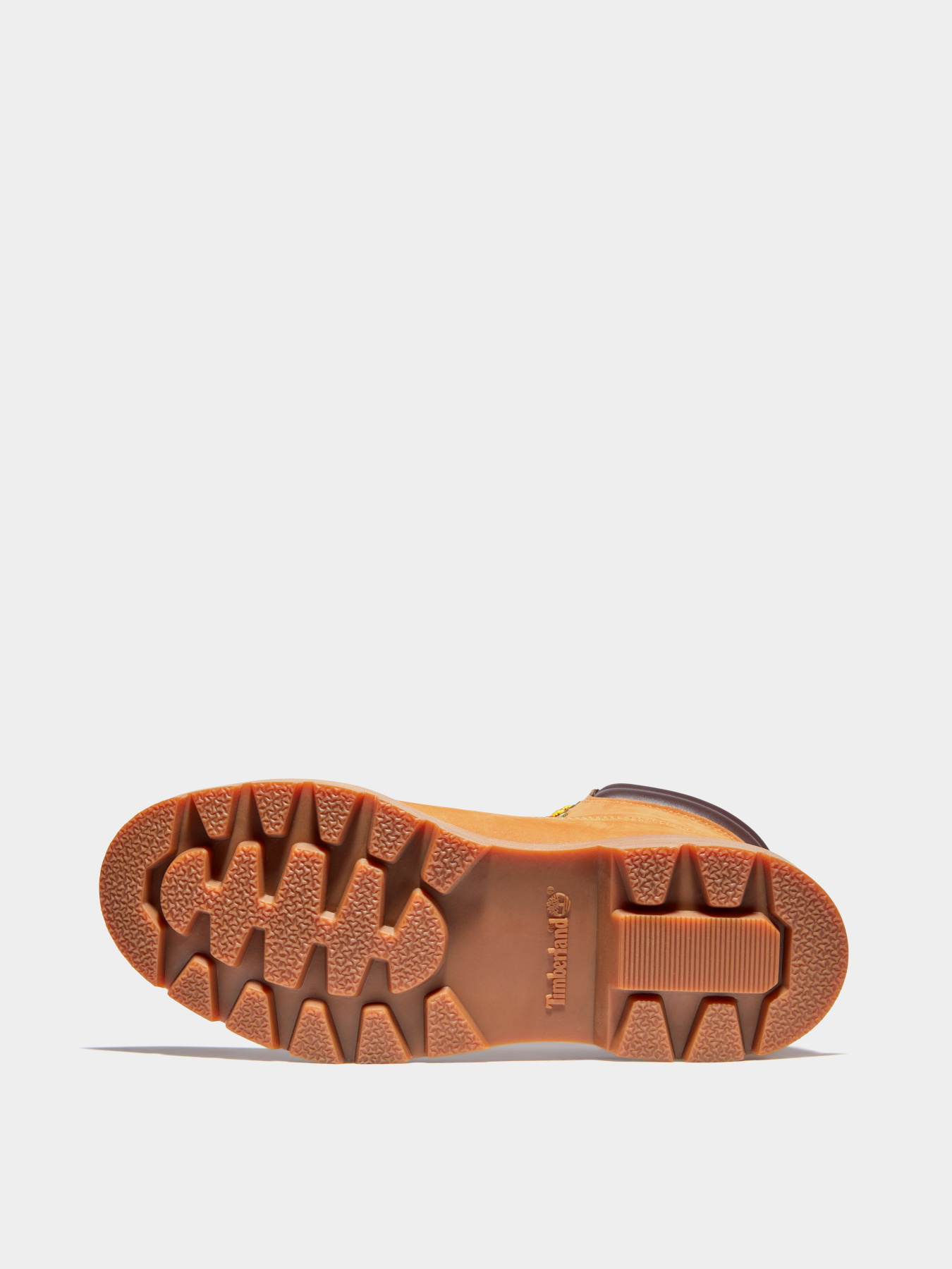 Черевики та чоботи Timberland Premium 6 Inch модель TB0A27TP231 Фото