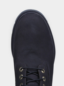 Ботинки и сапоги Timberland Premium 6-Inch Waterproof модель TB0A288J019 Фото