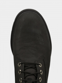 Ботинки и сапоги Timberland 6 In Basic модель TB0A27Q9015 Фото