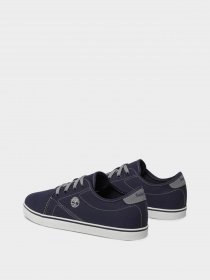 Кеды Timberland SkapePk Canv VulcOx Basic модель TB0A27KJ019 Фото