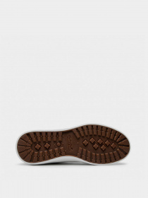 Кеди Timberland Skape Park модель TB0A3ZY3100 Фото