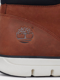 Черевики та чоботи Timberland Bradstreet Chukka Leather модель TB0A13EE214 Фото