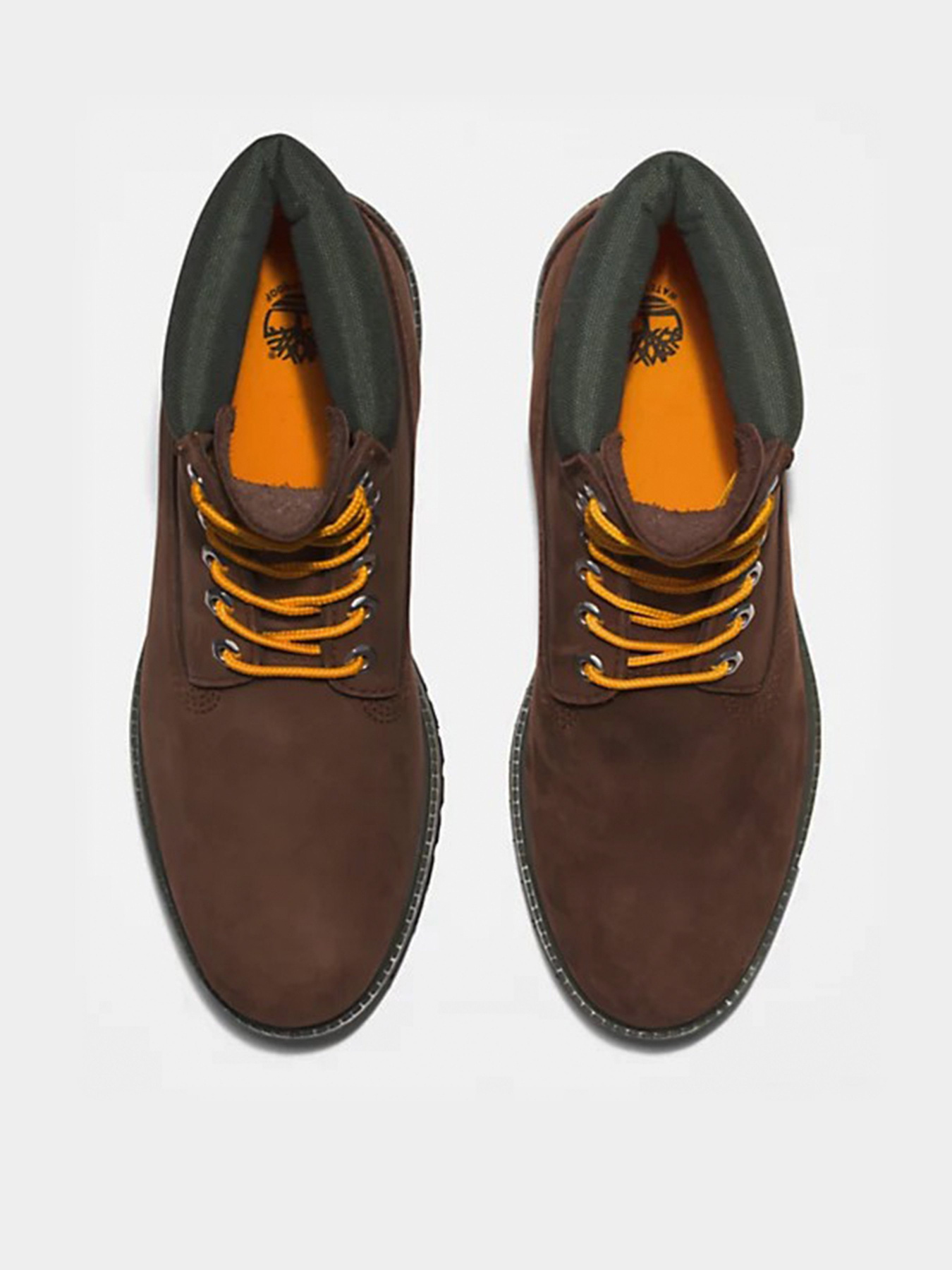 Черевики та чоботи Timberland Premium 6 модель TB0A2CX8931 Черевики та чоботи Timberland Premium 6 модель TB0A2CX8931 Фото
