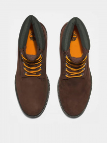 Черевики та чоботи Timberland Premium 6 модель TB0A2CX8931 Фото