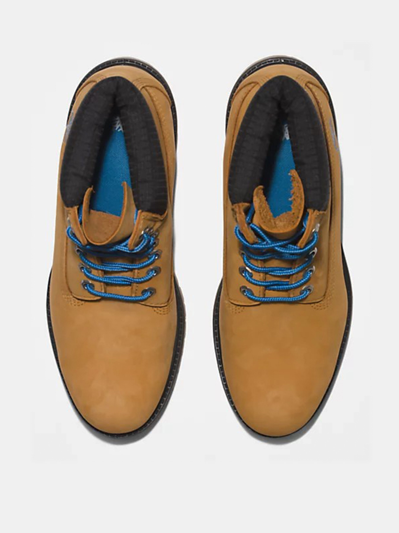 Черевики та чоботи Timberland Premium 6 inch модель TB0A2DJF231 Черевики та чоботи Timberland Premium 6 inch модель TB0A2DJF231 Фото