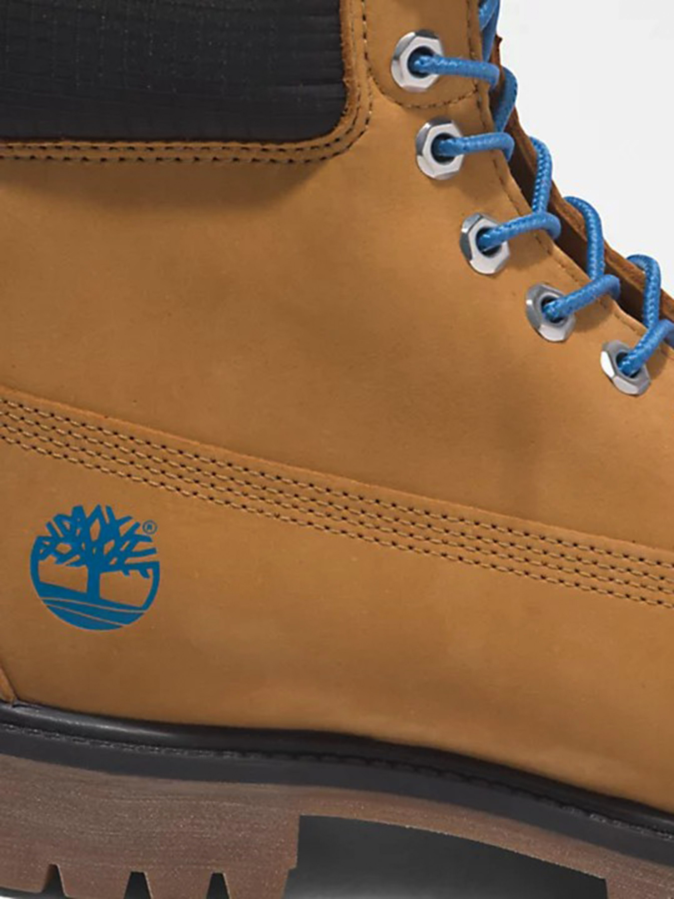 Черевики та чоботи Timberland Premium 6 inch модель TB0A2DJF231 Черевики та чоботи Timberland Premium 6 inch модель TB0A2DJF231 Фото