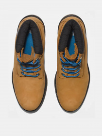 Черевики та чоботи Timberland Premium 6 inch модель TB0A2DJF231 Фото